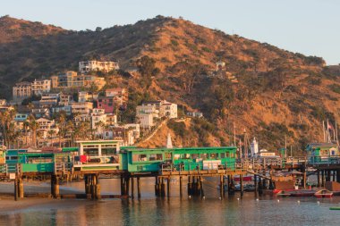 Catalina Island tatil resort, Avalon, California, yeşil zevk pier yansıyan sakin okyanusta renkli evler tünemiş hillside, çan kulesi görünür, mavi gökyüzü, ılık ışık