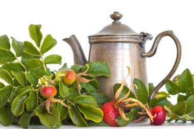 Yakın çekim retro kalaylı antik, gümüş renkli bir ev yapımı kırmızı yabani gül gül-kalça beyaz bir arka plan, sağlıklı yaşam, vitaminler ve mineraller sağlıklı şifalı çay ile eski moda çaydanlık