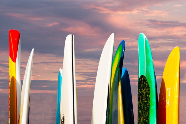 Paddle boards racked against a seascape sunset sky with ocean background, fun summer resort fun