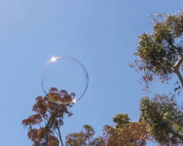 Closeup of single bubble floating in background of palm trees and blue sky with reflections in bubble