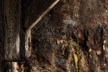 Çizgili moss kumtaşı duvar ortaçağ fantezi arka plan doku doğa arka plan dokusu ile ahşap iskele cıvata ayrıntı ile ön planda paslı eski ıslak