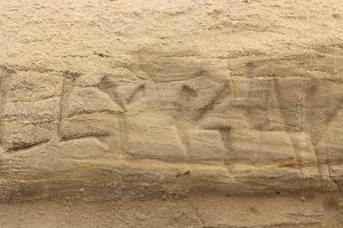 Doğa arka plan, bir kumtaşı duvar grafiti hiyeroglif dokusuna Grandview beach Encintas California kazınmış duvara oyulmuş.