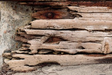 Dalgaların karaya attığı odun Beton taş duvara karşı vintage grunge kumlu arka plan ayarlamak paslı cıvata ile