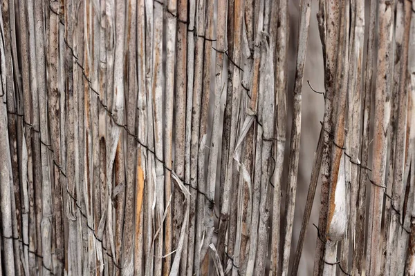 Vintage bamboo rattan close-up of a dilapidated retro worn fence held together with rusted wire a background texture in shades of tan, beige, orange color and gray