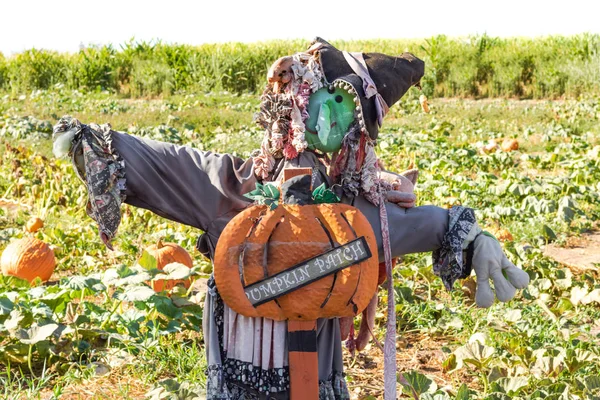 Halloween Party Celebration Close Fun Friendly Green Face Witch Scarecrow — Stock Photo, Image