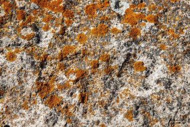 Doğal kayanın makro görünümü.
