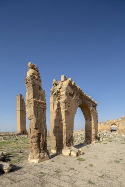 Harran Tümülüsü, Şanlıurfa, Türkiye.