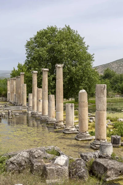 Αρχαία Πισίνα Και Αγορά Afrodisias Aydin Τουρκία — Φωτογραφία Αρχείου
