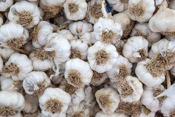 Fresh Garlic Market Table — Stock Photo, Image