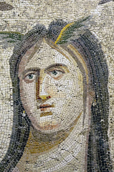 Gaziantep Turcja Czerwca 2014 Mozaika Muzeum Mozaiki Gaziantep Zeugma Dniu Obrazy Stockowe bez tantiem