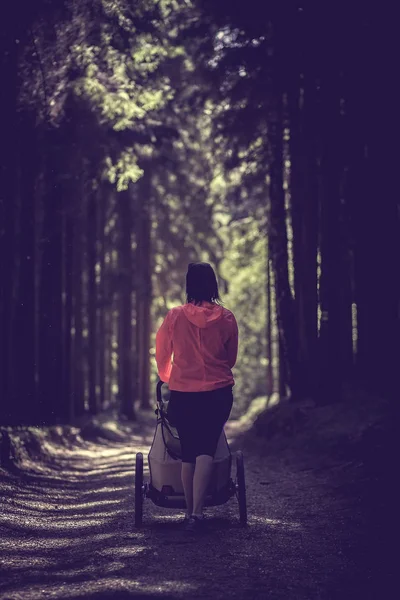 Mujeres Jóvenes Forma Caminando Trotando Aire Libre Madera —  Fotos de Stock