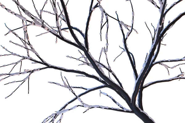 Rami d'albero congelati ricoperti di neve su sfondo bianco. Foresta in inverno illustrazione 3d — Foto Stock