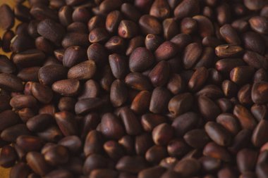 Ciberian sedir arka plan olarak kabuklarında çam fıstığı. Makro