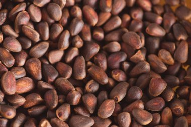 Ciberian sedir arka plan olarak kabuklarında çam fıstığı. Makro