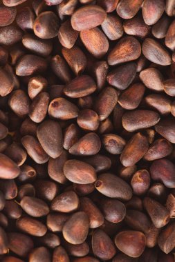 Ciberian sedir arka plan olarak kabuklarında çam fıstığı. Makro