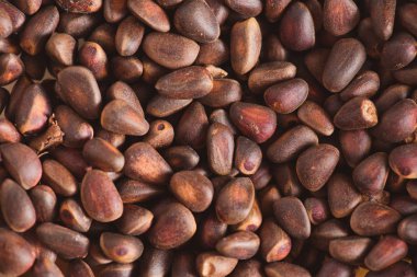 Ciberian sedir arka plan olarak kabuklarında çam fıstığı. Makro