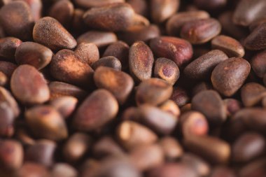 Ciberian sedir arka plan olarak kabuklarında çam fıstığı. Makro