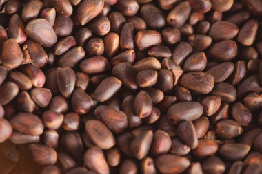 Ciberian sedir arka plan olarak kabuklarında çam fıstığı. Makro