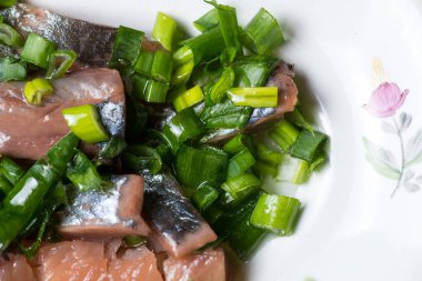 Ringa balığı yeşil soğan ile bir tabağa dilimlenmiş. Seçici odak makro ile sığ Dof vurdu.