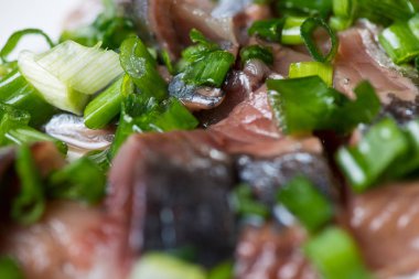 Ringa balığı yeşil soğan ile bir tabağa dilimlenmiş. Seçici odak makro ile sığ Dof vurdu.