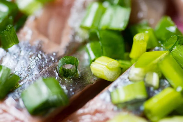 Sliced herring with green onion on a plate. Selective focus macro shot with shallow DOF. — Stock Photo, Image