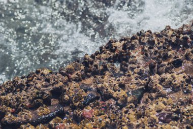 Güzel açık turkuaz deniz okyanus su yüzeyinde dalgalanmalar ve parlak sıçrama ile deniz manzarası arka plan, yatay resim fotoğrafı