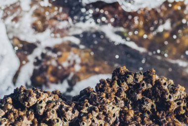 Güzel, berrak turkuaz deniz okyanus yüzeyinin fotoğrafı dalgalanmalar ve taştan deniz manzarası, yatay resim.