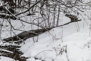 Ahşap Nehri ile kış manzara. Rus kış