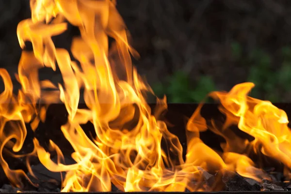 Chamas de fogo para o fundo. Camping cozinha de comida de férias — Fotografia de Stock