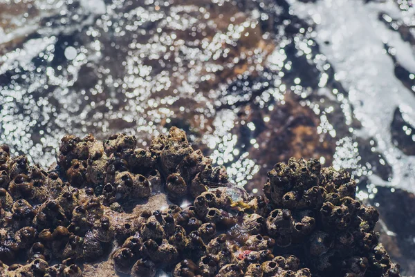 Фото красивої чистої бірюзової поверхні морської води з бризами і яскравими бризками на морському фоні, горизонтальна картина — стокове фото