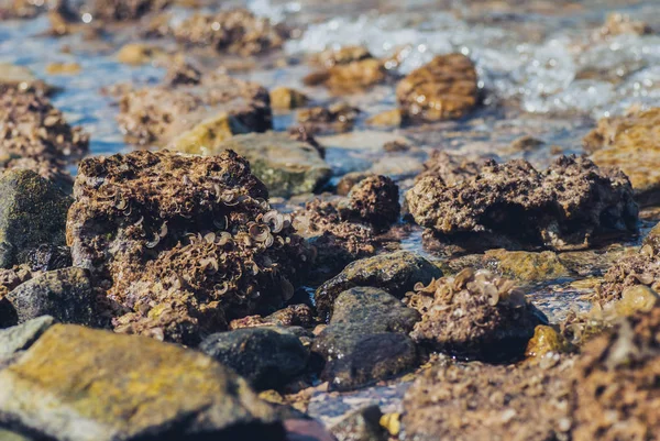 Фото красивої чистої бірюзової поверхні морської води з бризами і яскравими бризками на кам'яному морському фоні, горизонтальна картина — стокове фото