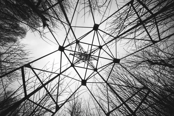 Hoogspanning post weergave met bos takken. BlackAndWhite — Stockfoto