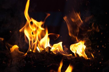 alevler arka plan için ateş. Kamp tatil yemek yemek