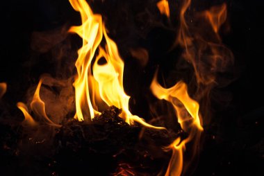 alevler arka plan için ateş. Kamp tatil yemek yemek