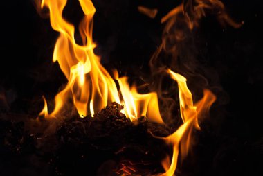 alevler arka plan için ateş. Kamp tatil yemek yemek