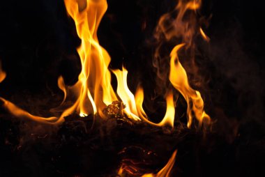 alevler arka plan için ateş. Kamp tatil yemek yemek