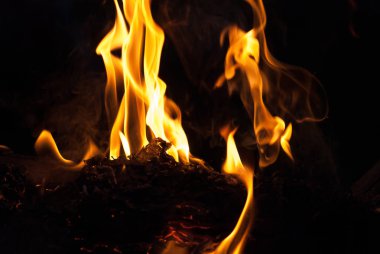 alevler arka plan için ateş. Kamp tatil yemek yemek