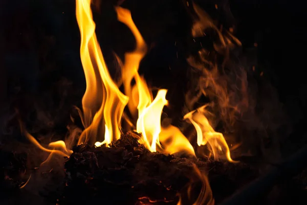 Oheň a plameny pozadí. Camping dovolená jídlo vaření — Stock fotografie