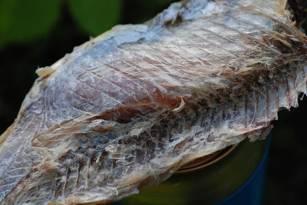 Sušené rybí maso makro detailní — Stock fotografie
