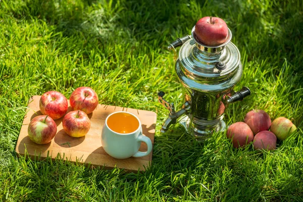 Rustic samovar steel teapot on the fresh spring summer lawn serve with the wooden board and apples and cup. Picnic leisure vacation holidays — Stock Photo, Image