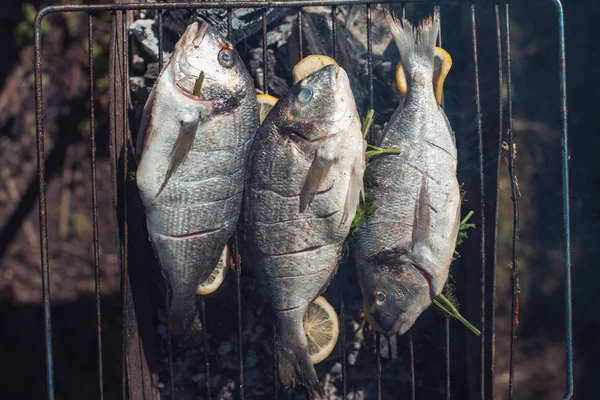 rost için yaz bahçesinde barbekü ızgara üzerinde limonlu taze balık dokusu