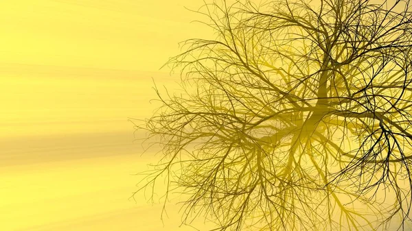 霧または明るいオレンジ太陽神の光線に照らされた霧で葉のない孤独な木。3 d イラスト。旅行やキャンプのコンセプト — ストック写真