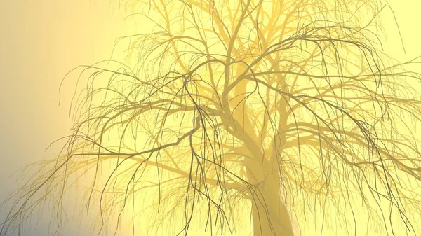 Árbol solitario sin hojas en niebla o niebla iluminado por brillantes rayos de sol naranja. Ilustración 3d. Concepto de viaje y camping — Foto de Stock