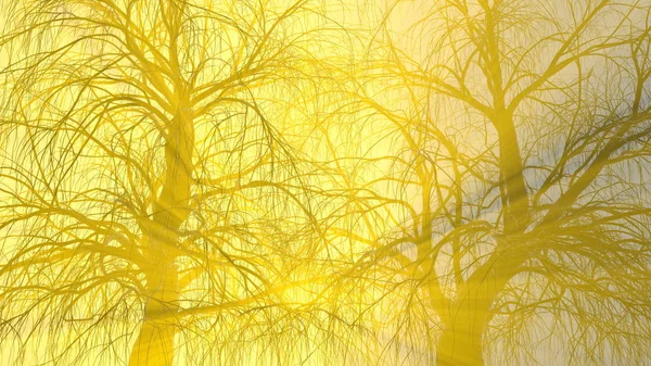 Dos árboles sin hojas en la niebla o la niebla iluminada por brillantes rayos de sol naranja dios. Ilustración 3d. Concepto de viaje y camping — Foto de Stock