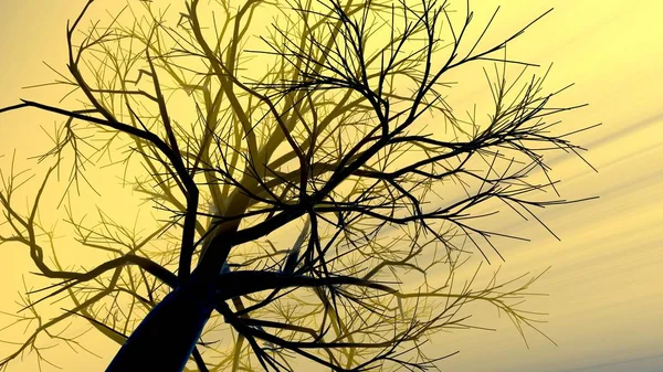 Eenzame boom zonder bladeren in de mist of nevel verlicht door helder oranje zonnegod stralen. 3D illustratie. Reis en camping concept — Stockfoto
