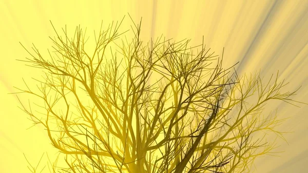 霧または明るいオレンジ太陽神の光線に照らされた霧で葉のない孤独な木。3 d イラスト。旅行やキャンプのコンセプト — ストック写真