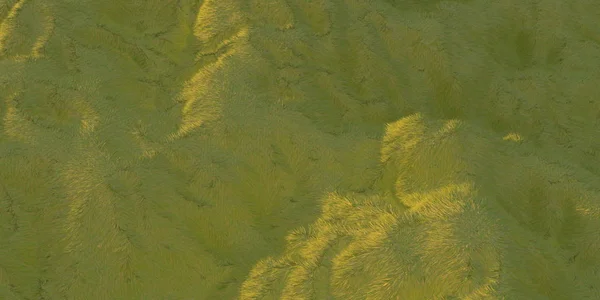 Colinas verdes de hierba iluminadas por la cálida luz del sol con la vista aérea de fondo blanco desde el avión no tripulado o avión. Ilustración 3d render — Foto de Stock