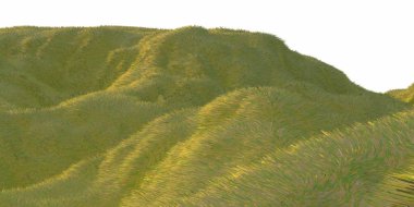 Yeşil çim tepeler tarafından beyaz arka plan hava üstten görünüm dron veya uçak ile sıcak güneş ışığı yaktı. Metniniz için boşaltmak. 3D çizim render