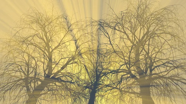 Tres veces sin hojas en niebla o niebla iluminadas por brillantes rayos de sol naranja. Ilustración 3d. Concepto de viaje y camping — Foto de Stock