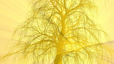 Yalnız ağaç yaprakları sis veya parlak turuncu güneş tanrısı ışınları tarafından yaktı sis olmadan. 3D çizim. Seyahat ve kamp kavramı
